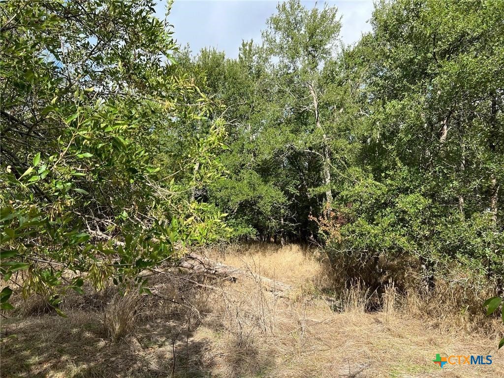 Tbd Cr 117 Property Photo 9