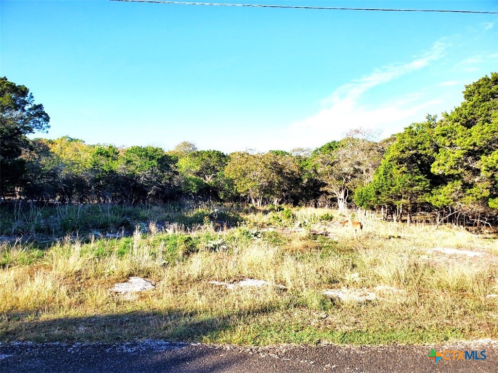 16089 Charlya Drive Property Photo 3