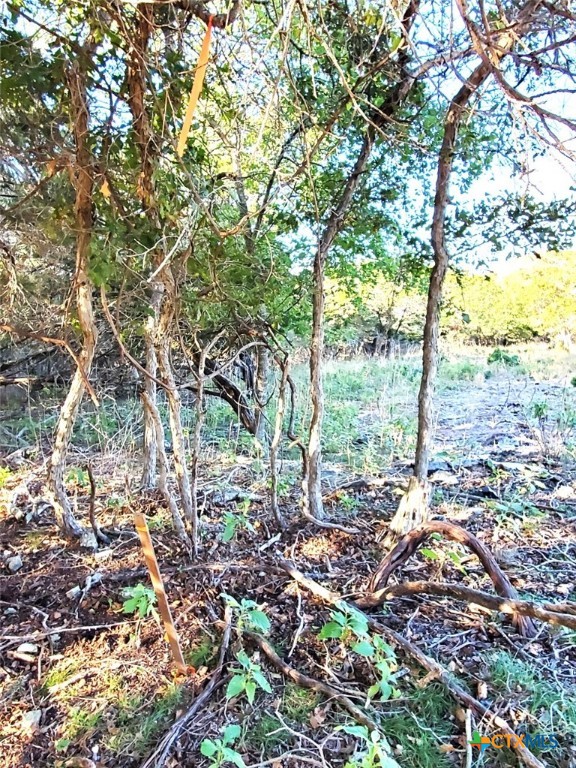 16089 Charlya Drive Property Photo 9