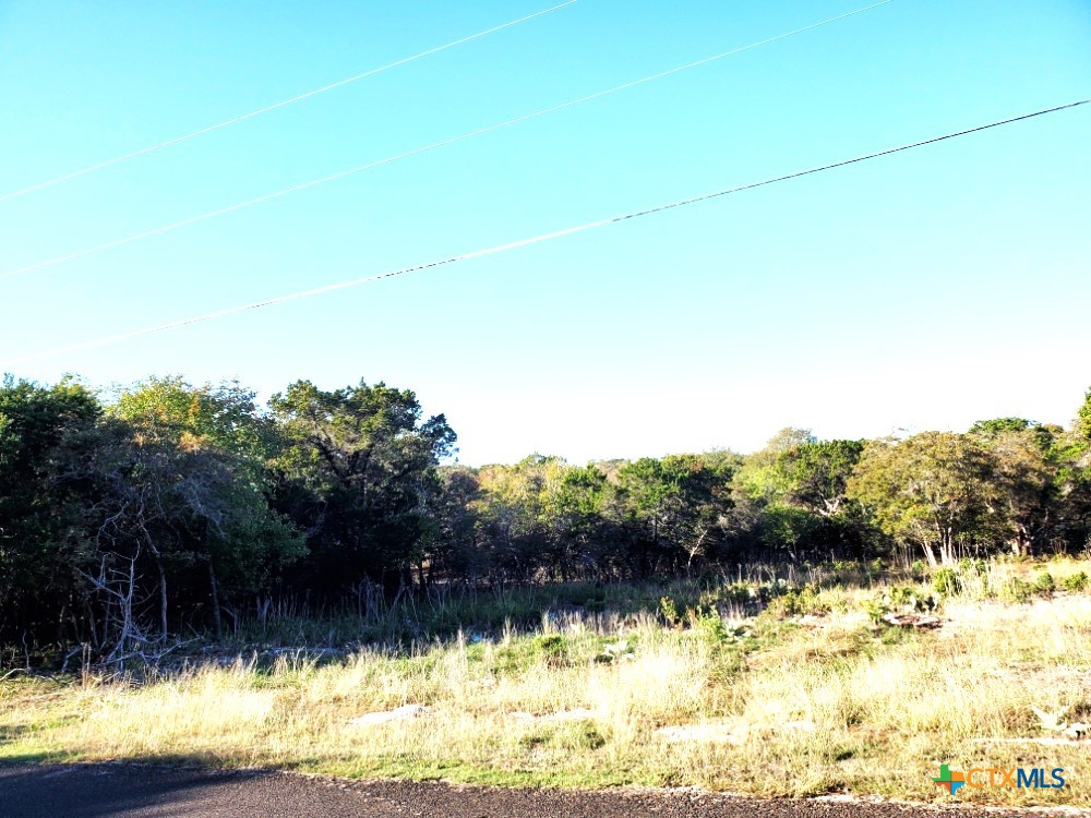 16089 Charlya Drive Property Photo 11