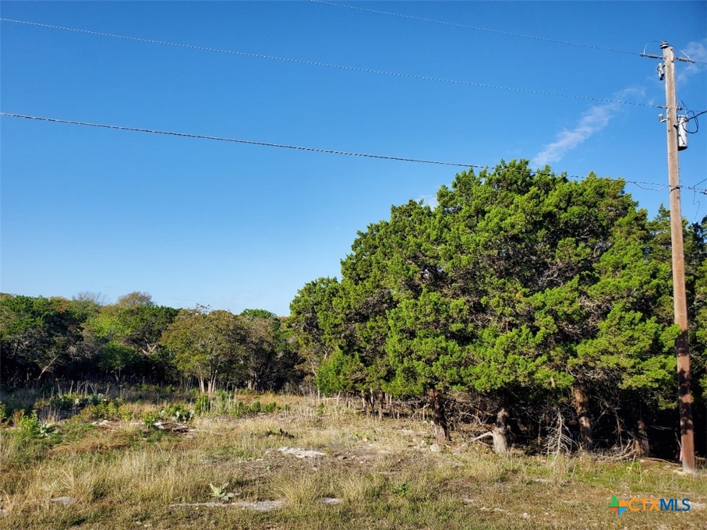 16089 Charlya Drive Property Photo 14