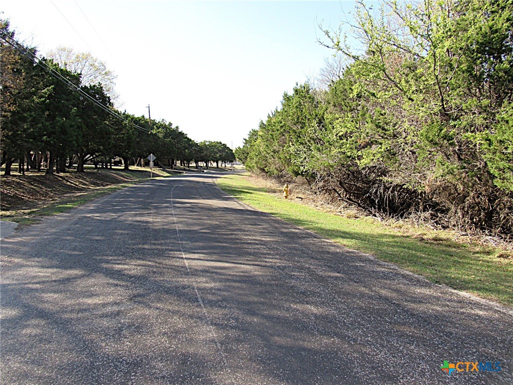 10784 Highview Drive Property Photo 4