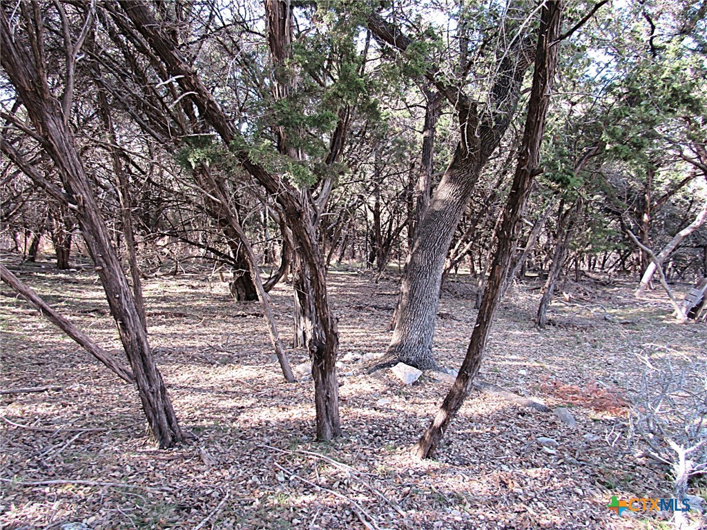 10784 Highview Drive Property Photo 6