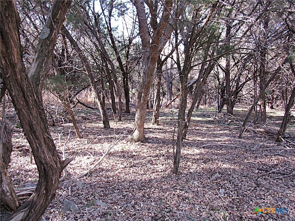 10784 Highview Drive Property Photo 7