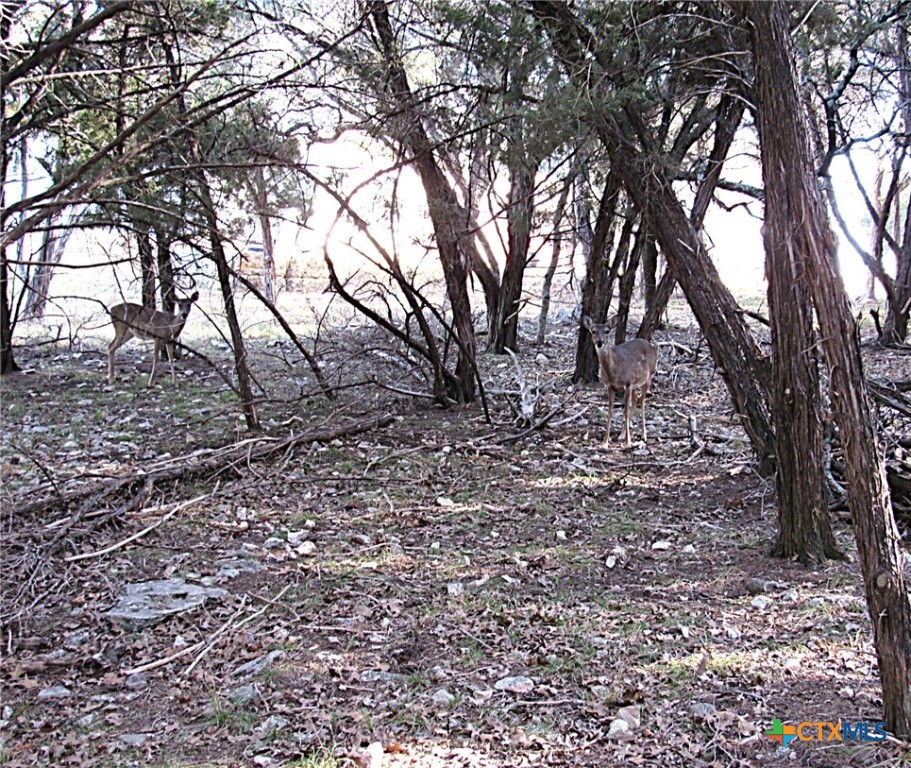 10784 Highview Drive Property Photo 8
