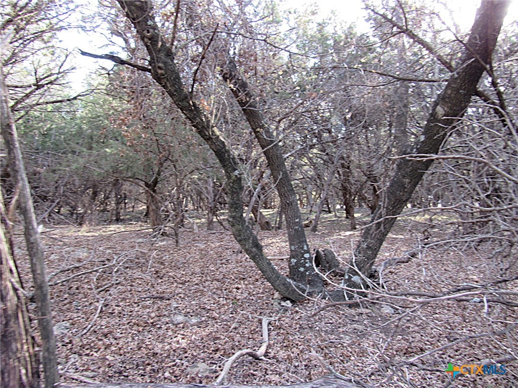 10784 Highview Drive Property Photo 11
