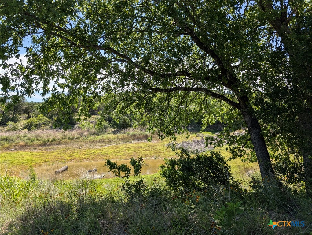 19529 Adrian--5.53 Acres Property Photo 1