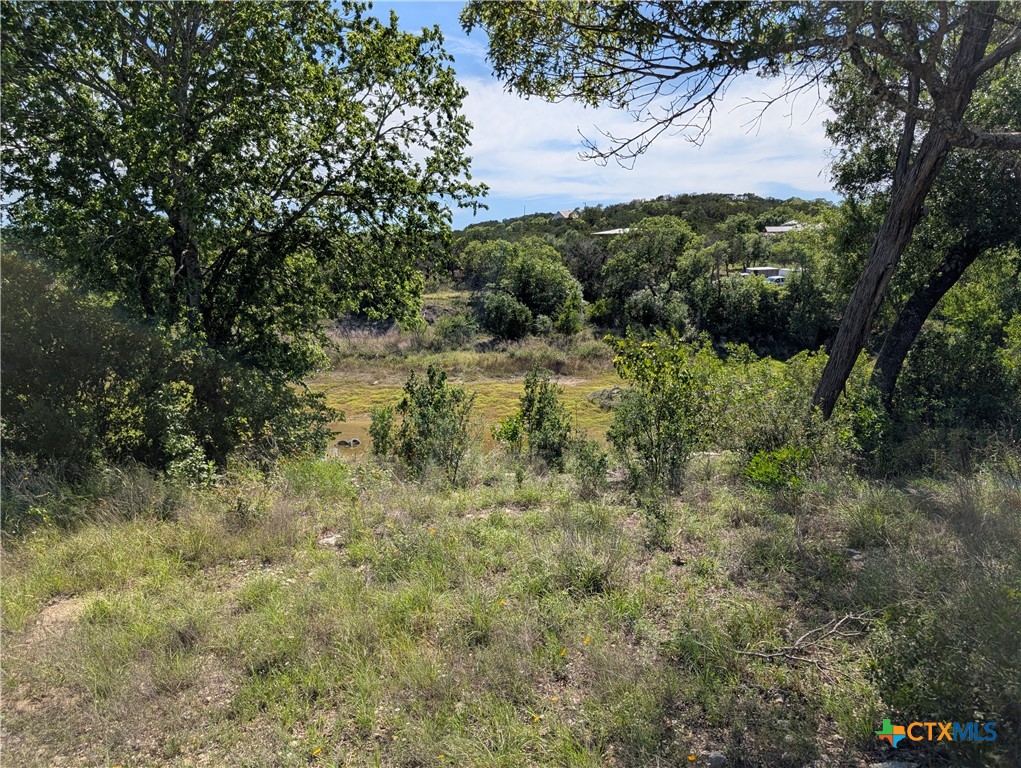 19529 Adrian--5.53 Acres Property Photo 2