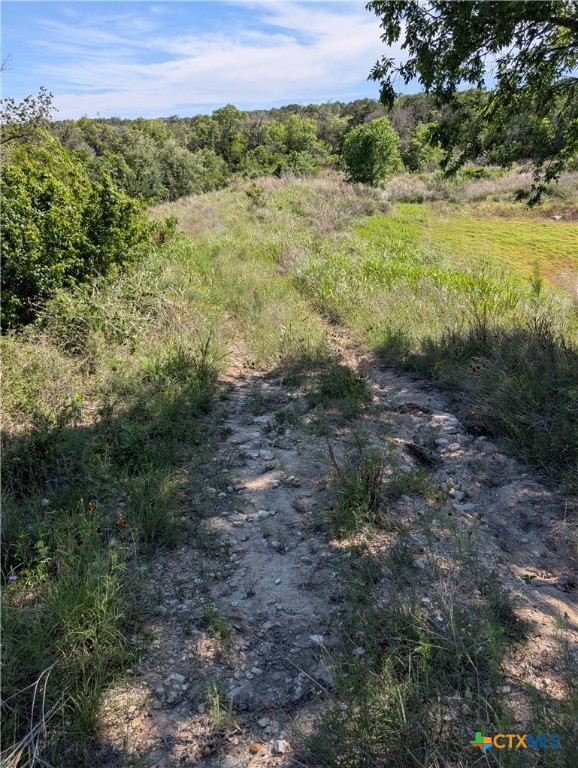 19529 Adrian--5.53 Acres Property Photo 3