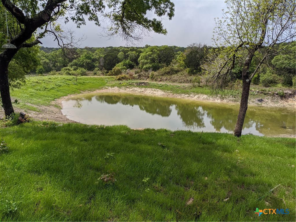 19529 Adrian--5.53 Acres Property Photo 4