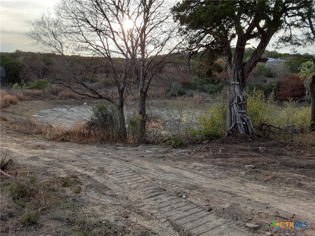 19529 Adrian--5.53 Acres Property Photo 7