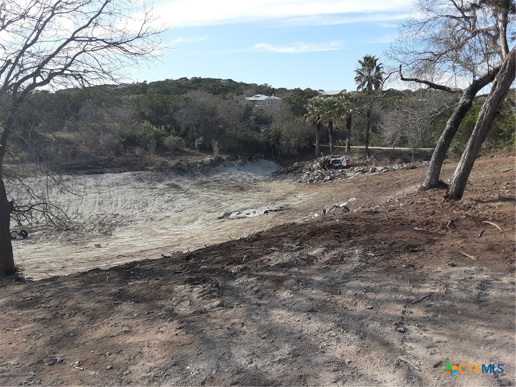 19529 Adrian--5.53 Acres Property Photo 11