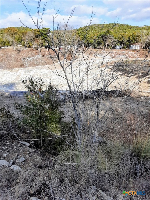 19529 Adrian--5.53 Acres Property Photo 13