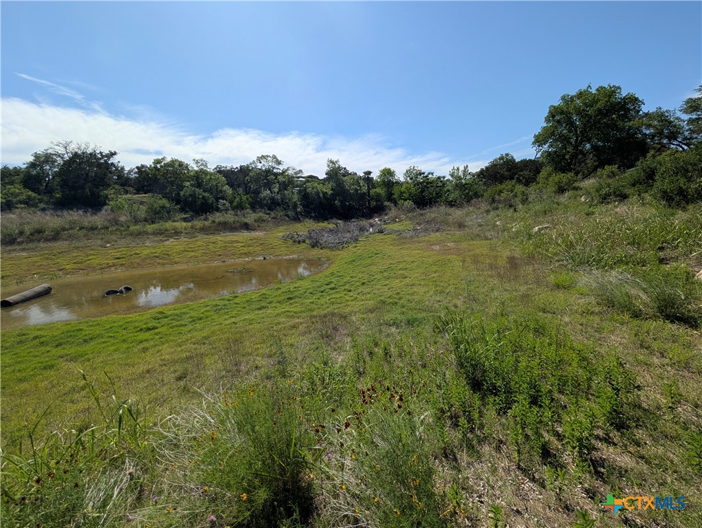Abs 2538 Sur 98 Carlton- 1 Acre Property Photo 1