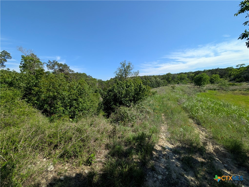 Abs 2538 Sur 98 Carlton- 1 Acre Property Photo 3