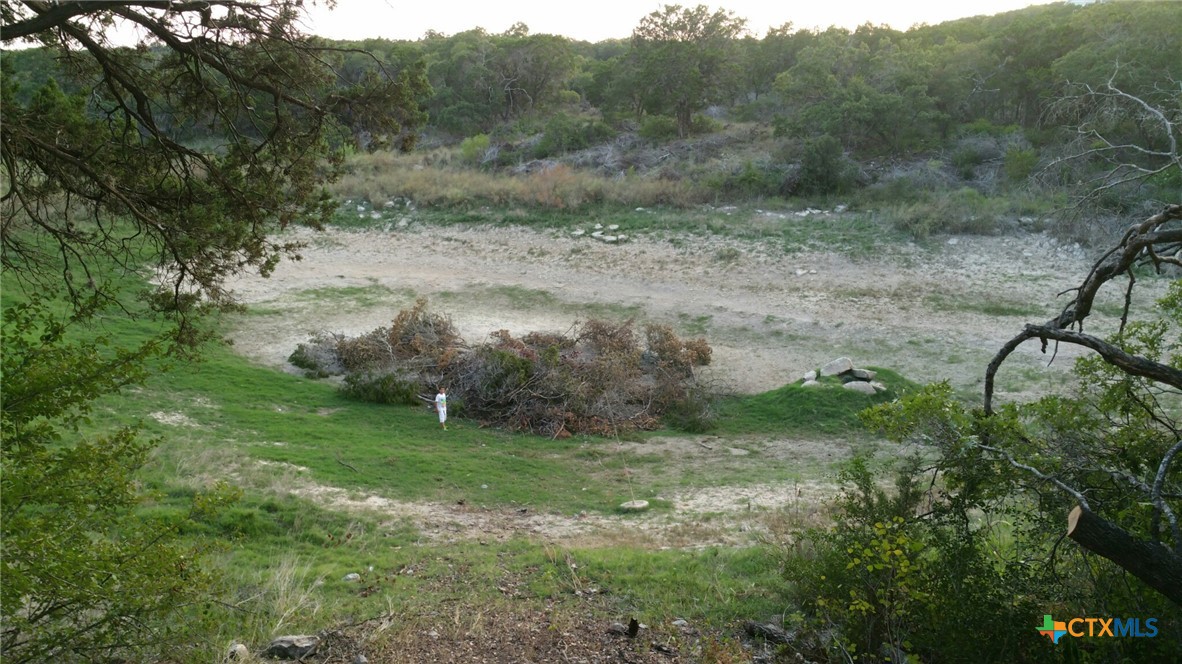 Abs 2538 Sur 98 Carlton- 1 Acre Property Photo 7
