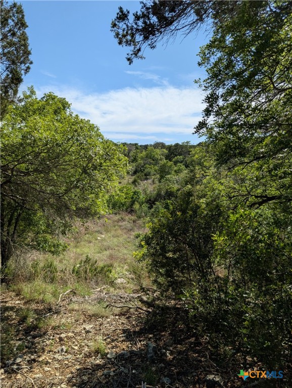 Abs 2538 Sur 98 Carlton- 1 Acre Property Photo 11