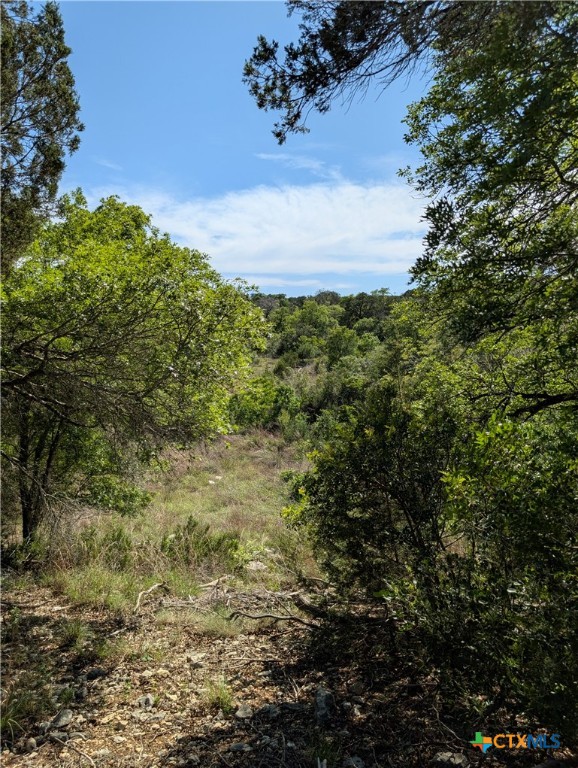Abs 2538 Sur 98 Carlton- 1 Acre Property Photo 12