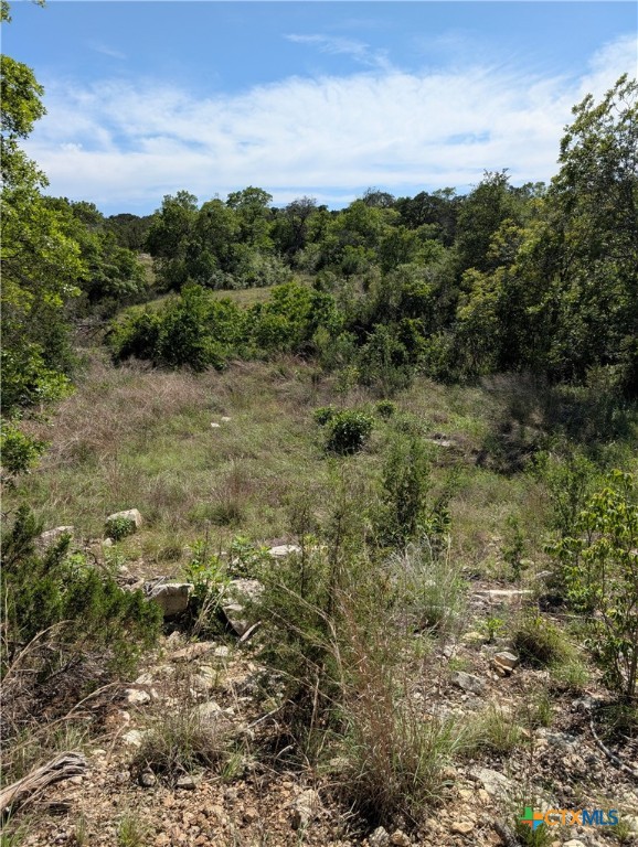 Abs 2538 Sur 98 Carlton- 1 Acre Property Photo 13