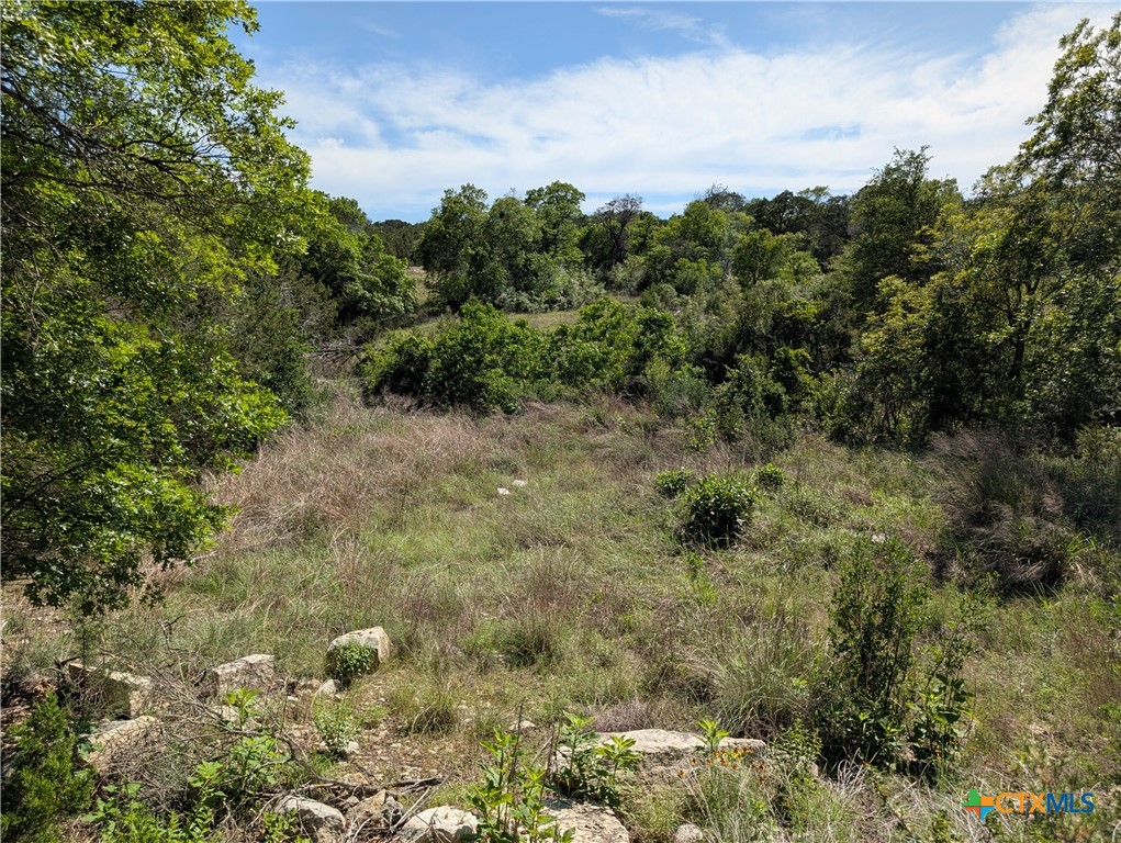 Abs 2538 Sur 98 Carlton- 1 Acre Property Photo 14