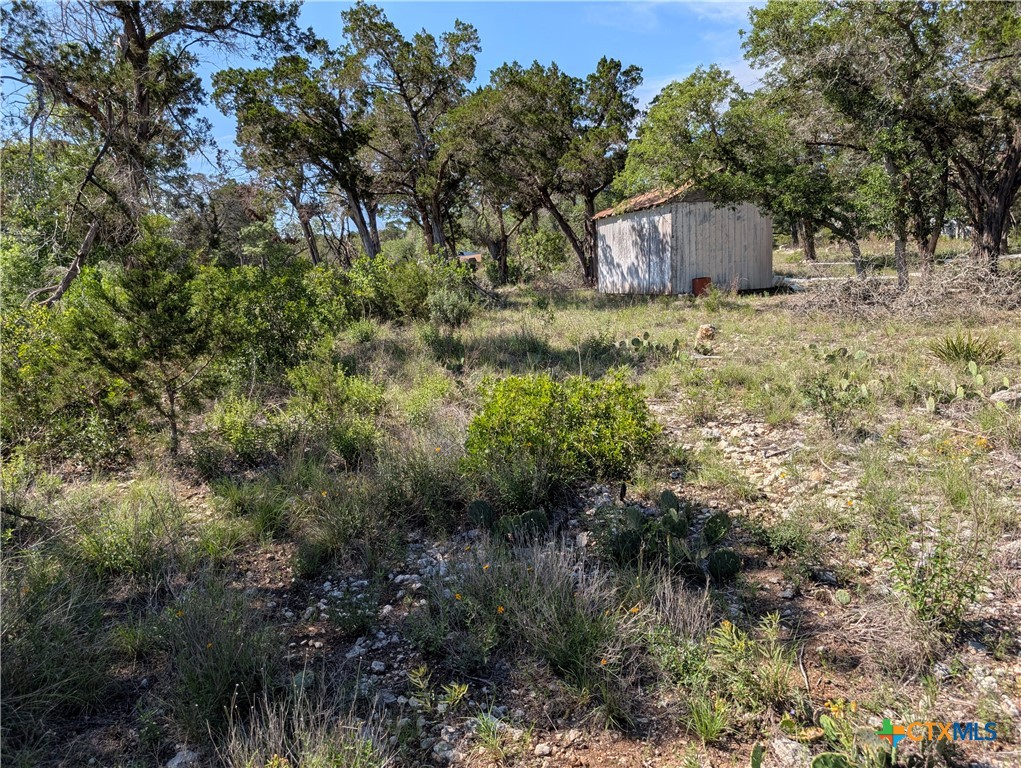 Abs 2538 Sur 98 Carlton- 1 Acre Property Photo 15
