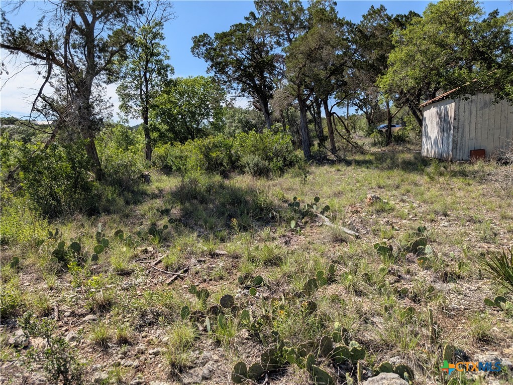 Abs 2538 Sur 98 Carlton- 1 Acre Property Photo 16