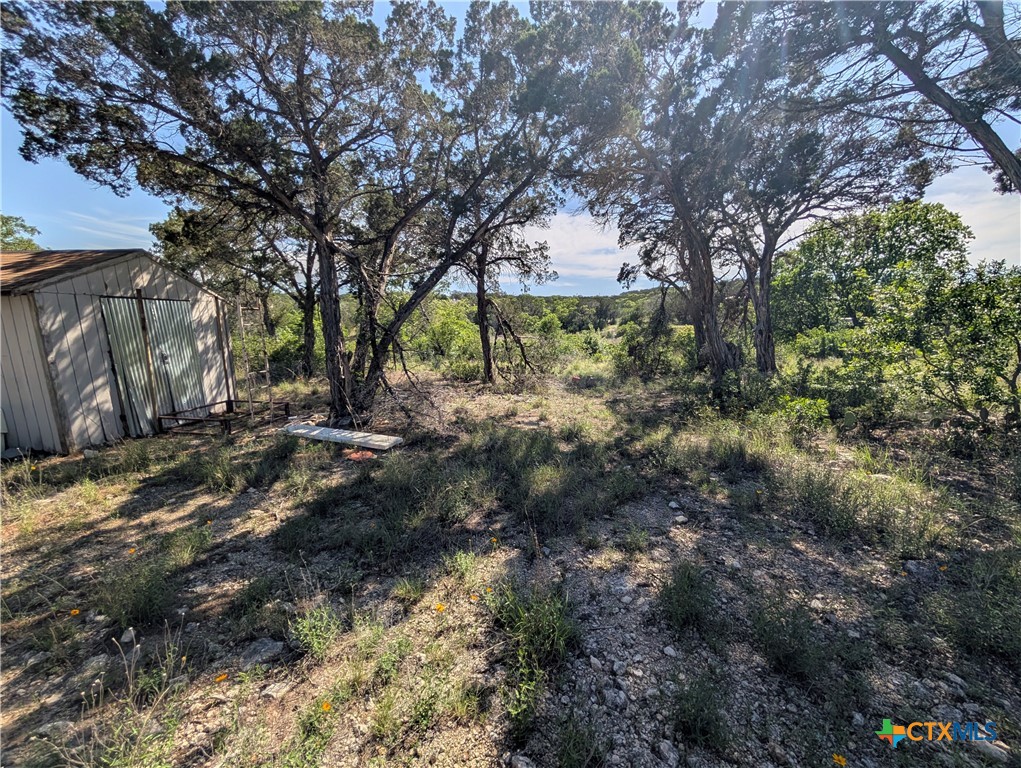 Abs 2538 Sur 98 Carlton- 1 Acre Property Photo 17