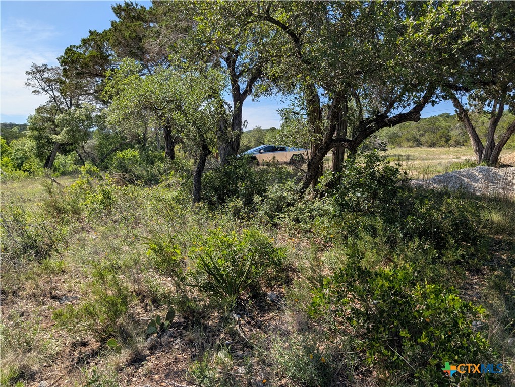 Abs 2538 Sur 98 Carlton- 1 Acre Property Photo 18