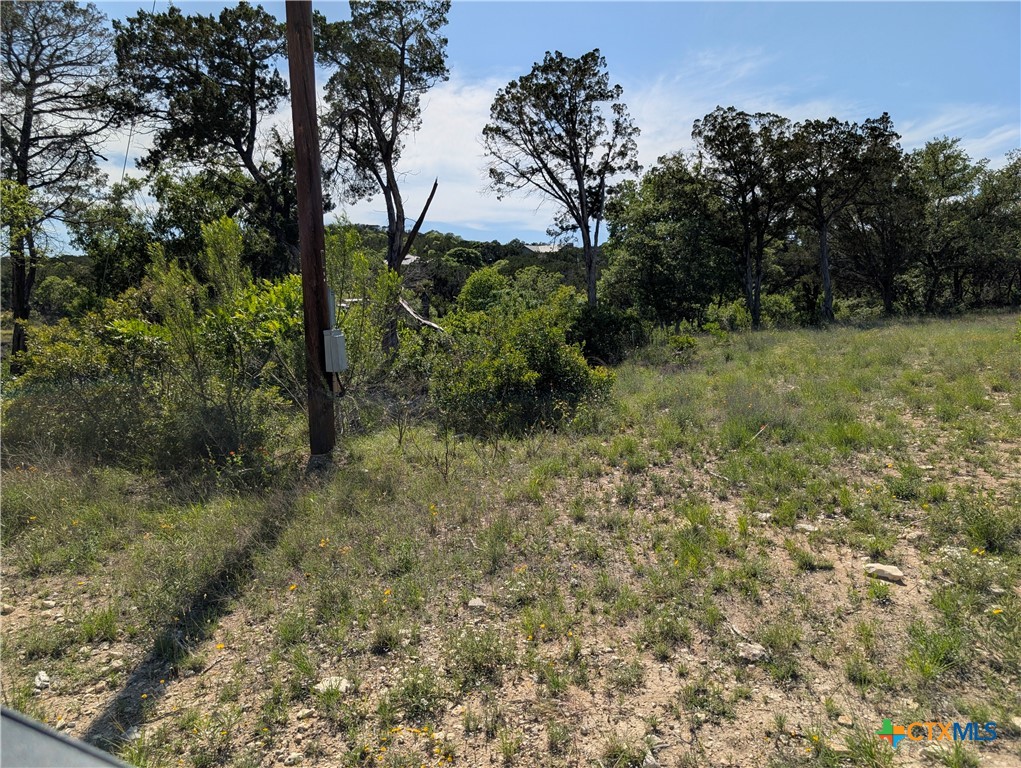 Abs 2538 Sur 98 Carlton- 1 Acre Property Photo 19