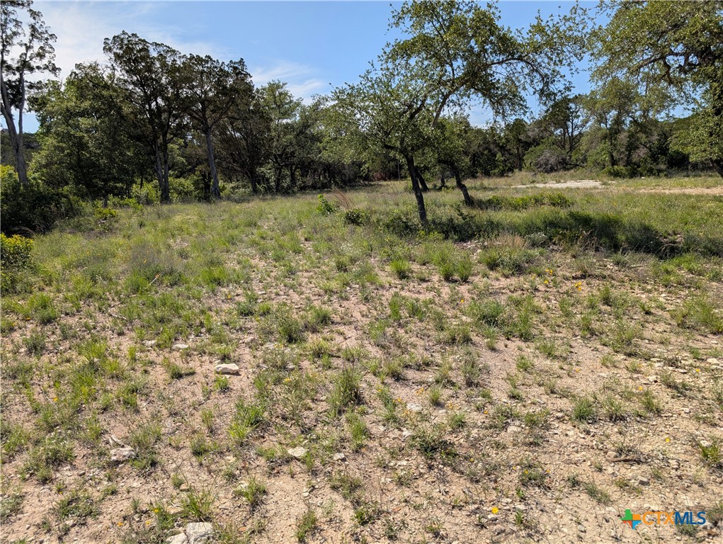 Abs 2538 Sur 98 Carlton- 1 Acre Property Photo 20