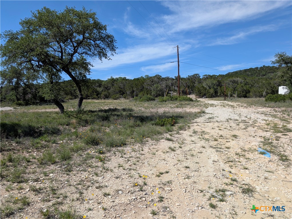 Abs 2538 Sur 98 Carlton- 1 Acre Property Photo 21