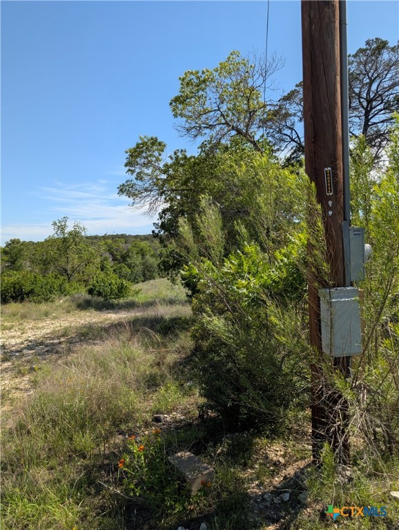 Abs 2538 Sur 98 Carlton- 1 Acre Property Photo 23