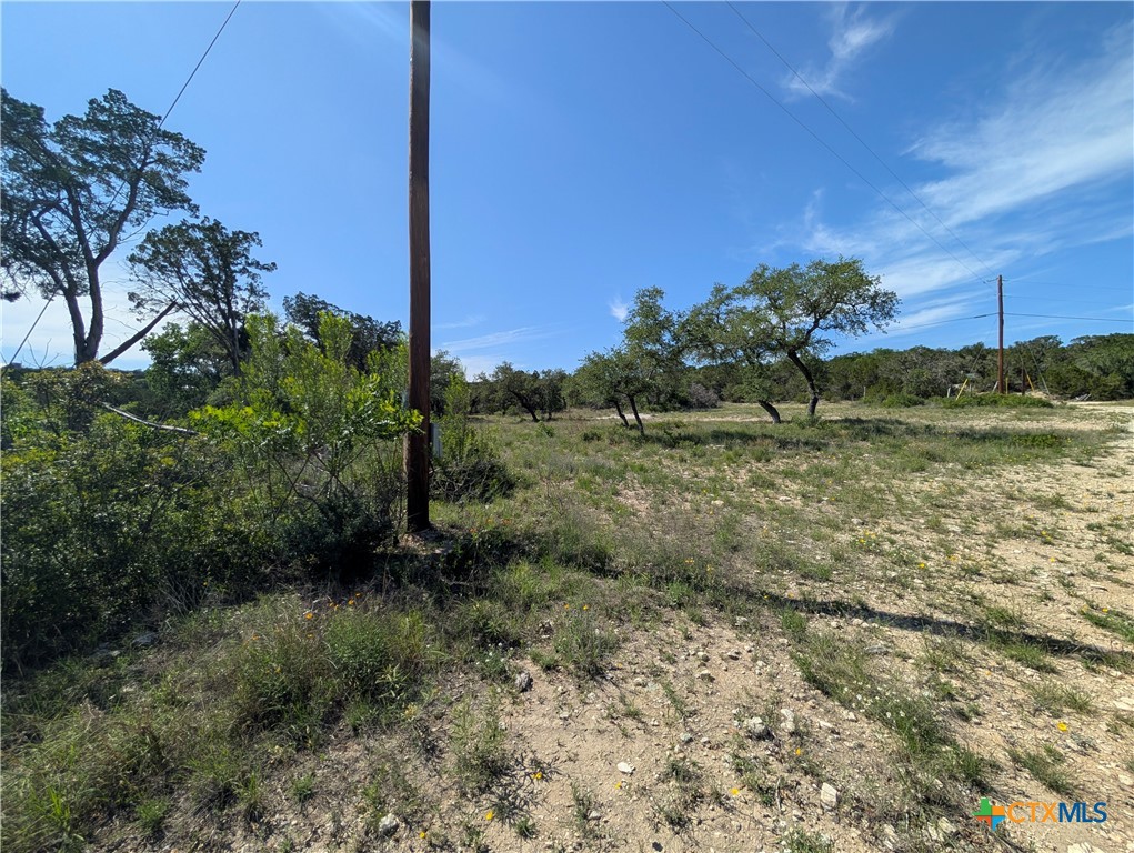 Abs 2538 Sur 98 Carlton- 1 Acre Property Photo 24