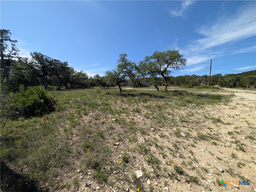Abs 2538 Sur 98 Carlton- 1 Acre Property Photo 25