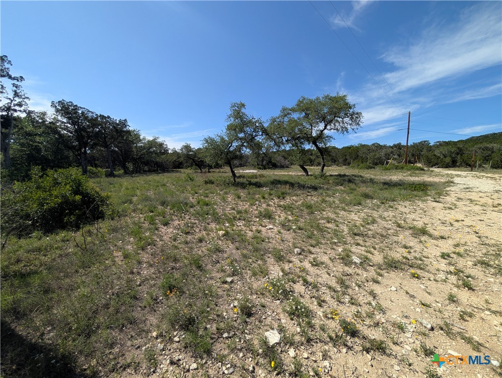 Abs 2538 Sur 98 Carlton- 1 Acre Property Photo 26