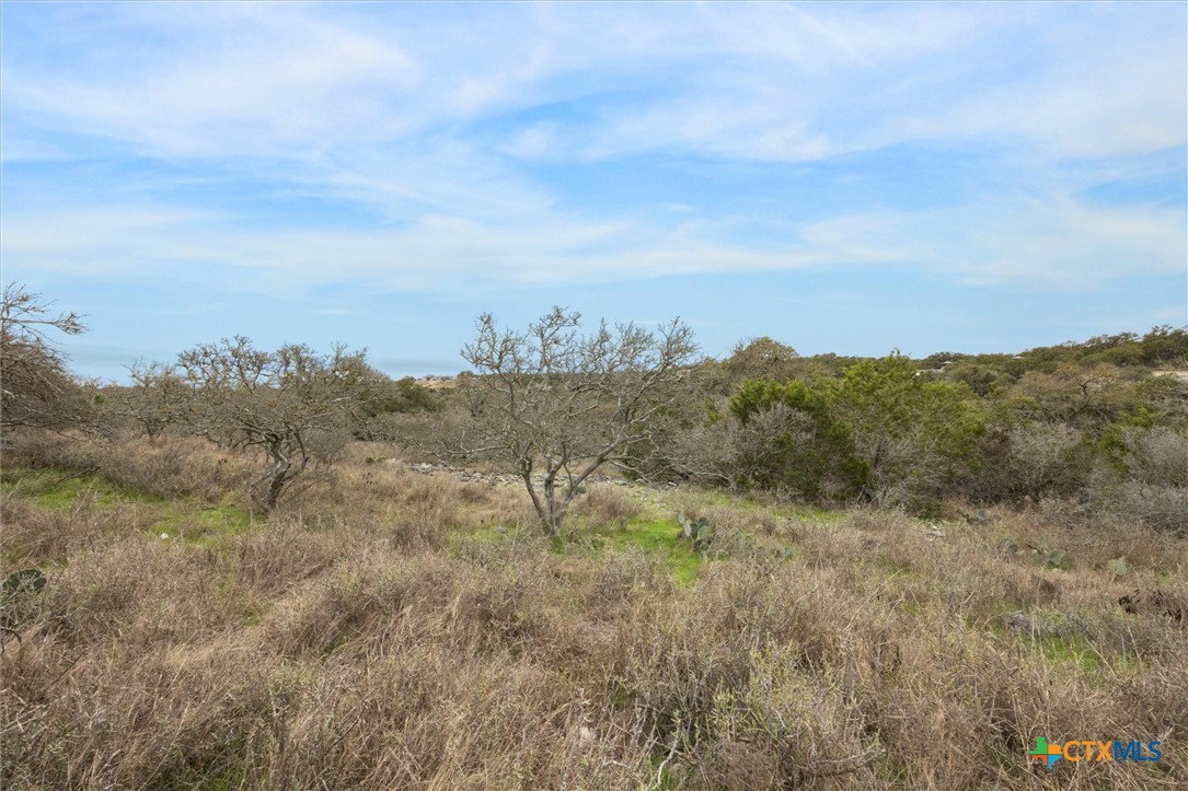 500 Havasu Point Property Photo 4