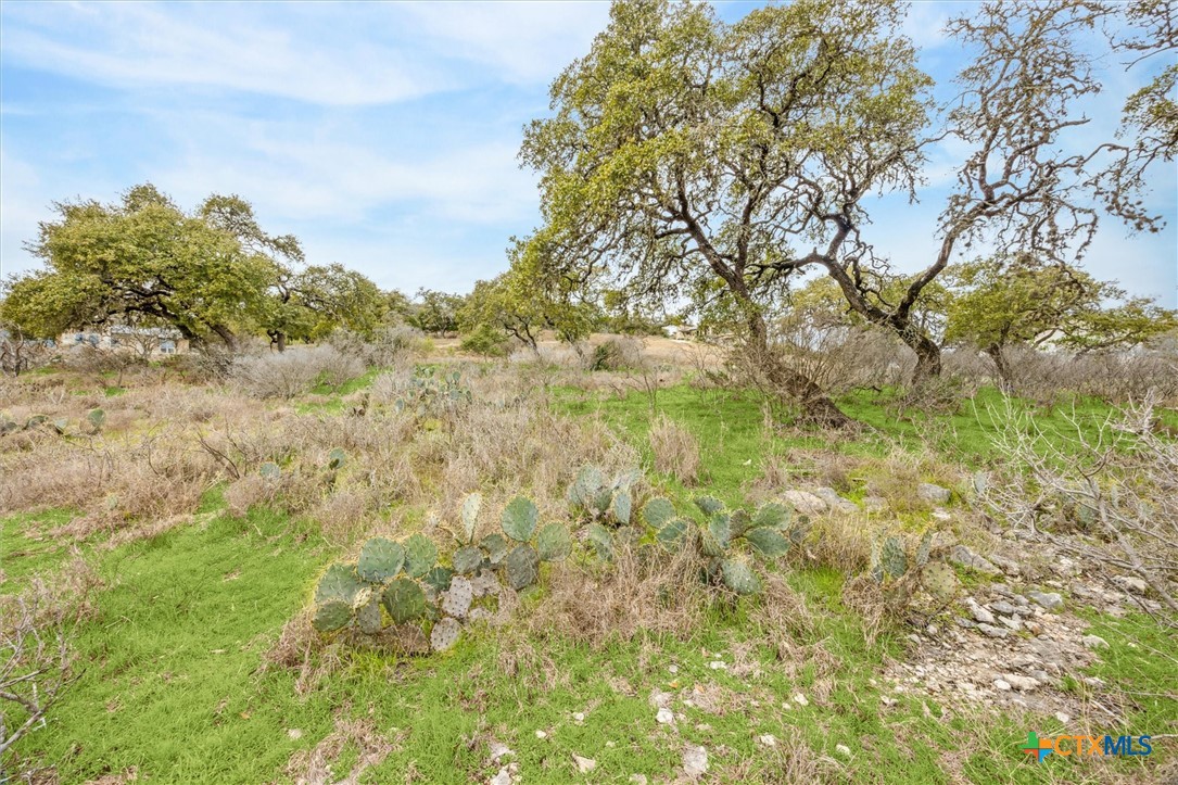0 Tbd Property Photo 7