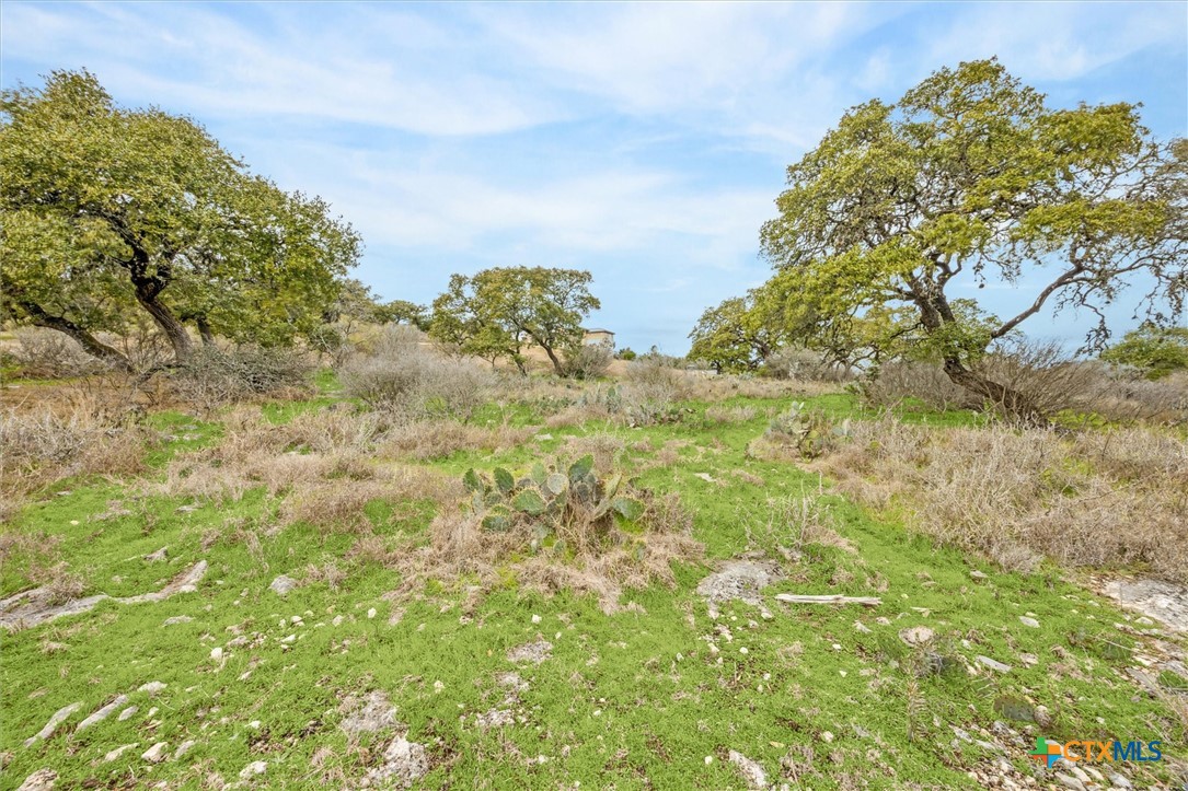 0 Tbd Property Photo 8