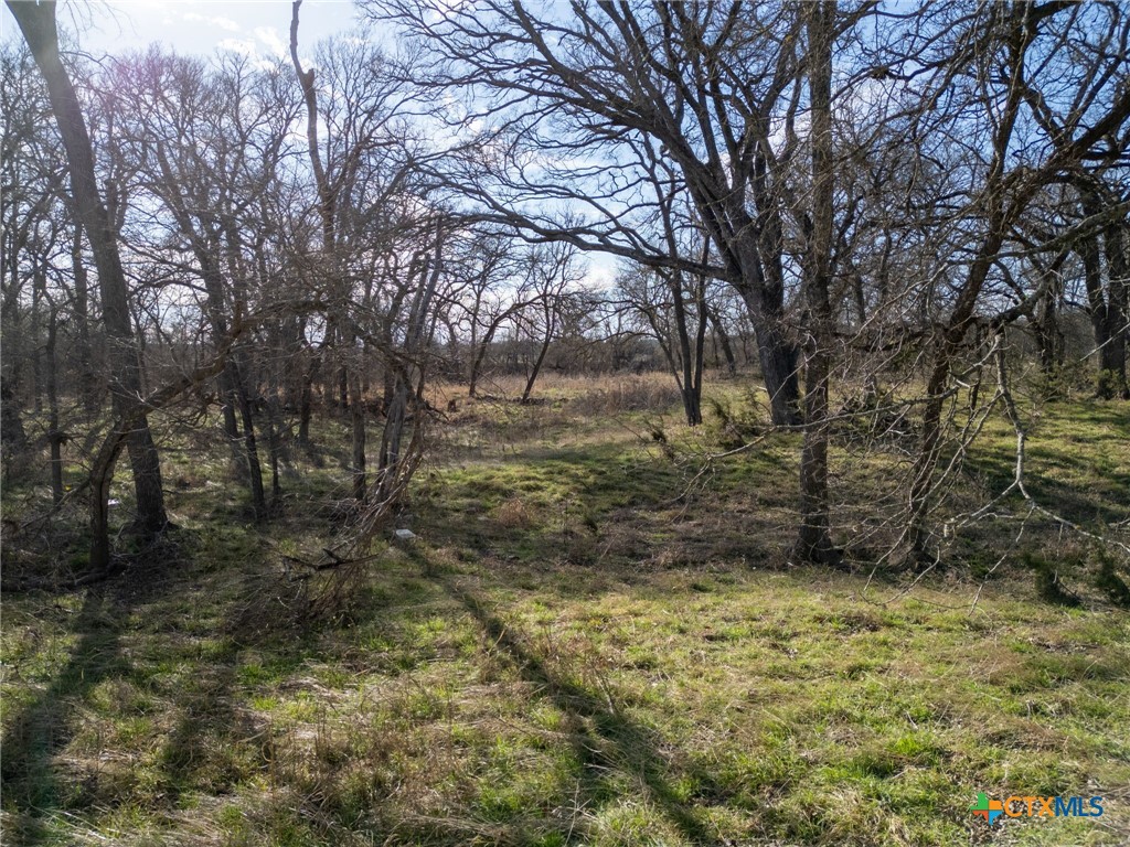 Tbd Private Road 2831 Property Photo 6