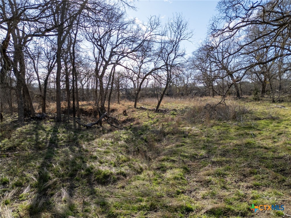 Tbd Private Road 2831 Property Photo 10
