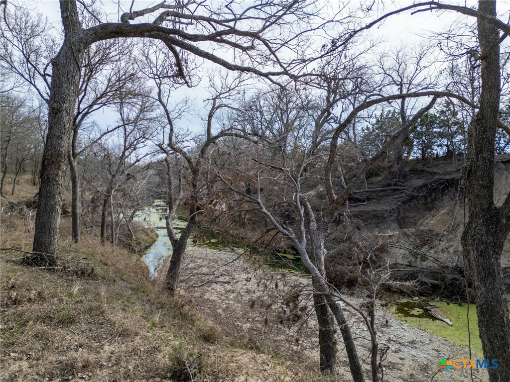 Tbd Private Road 2831 Property Photo 11