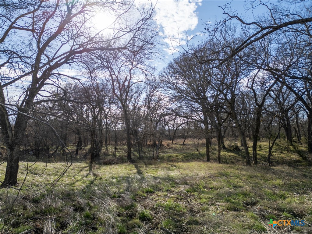Tbd Private Road 2831 Property Photo 12