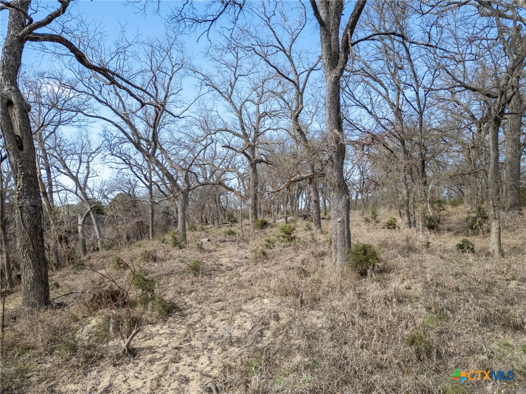 Tbd Private Road 2831 Property Photo 13