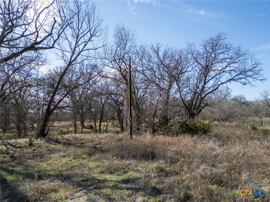 Tbd Private Road 2831 Property Photo 14