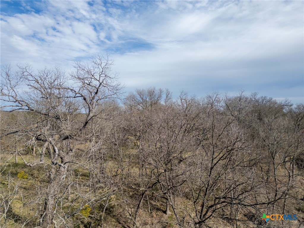Tbd Private Road 2831 Property Photo 17