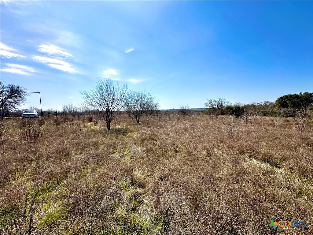 356 Rolling Ridge Road Property Photo 9
