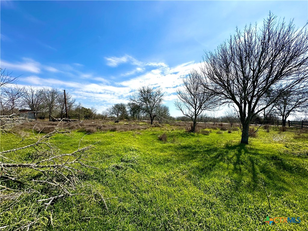 356 Rolling Ridge Road Property Photo 12