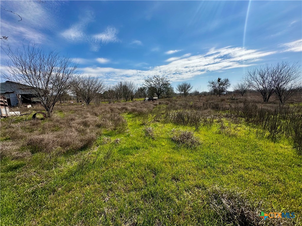 356 Rolling Ridge Road Property Photo 20