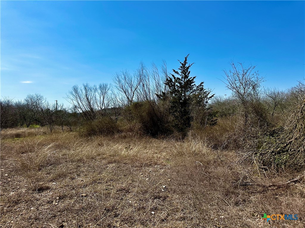 356 Rolling Ridge Road Property Photo 28