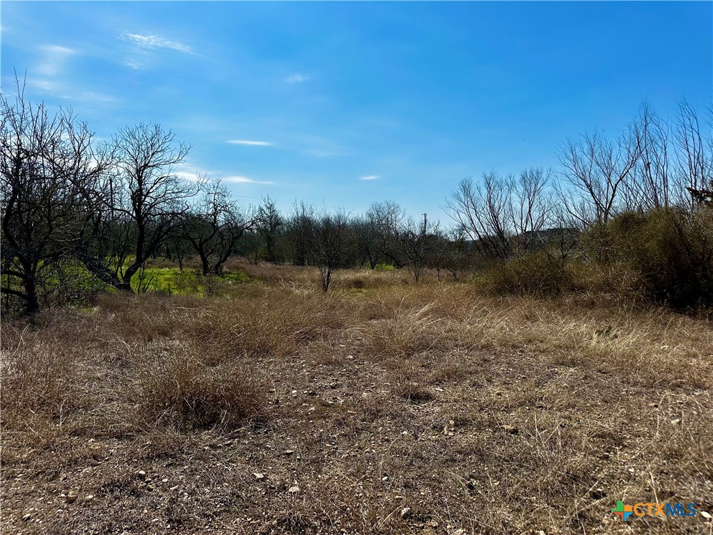 356 Rolling Ridge Road Property Photo 29